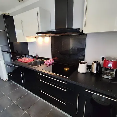 Le Balcon Des Pyrenees 公寓 *